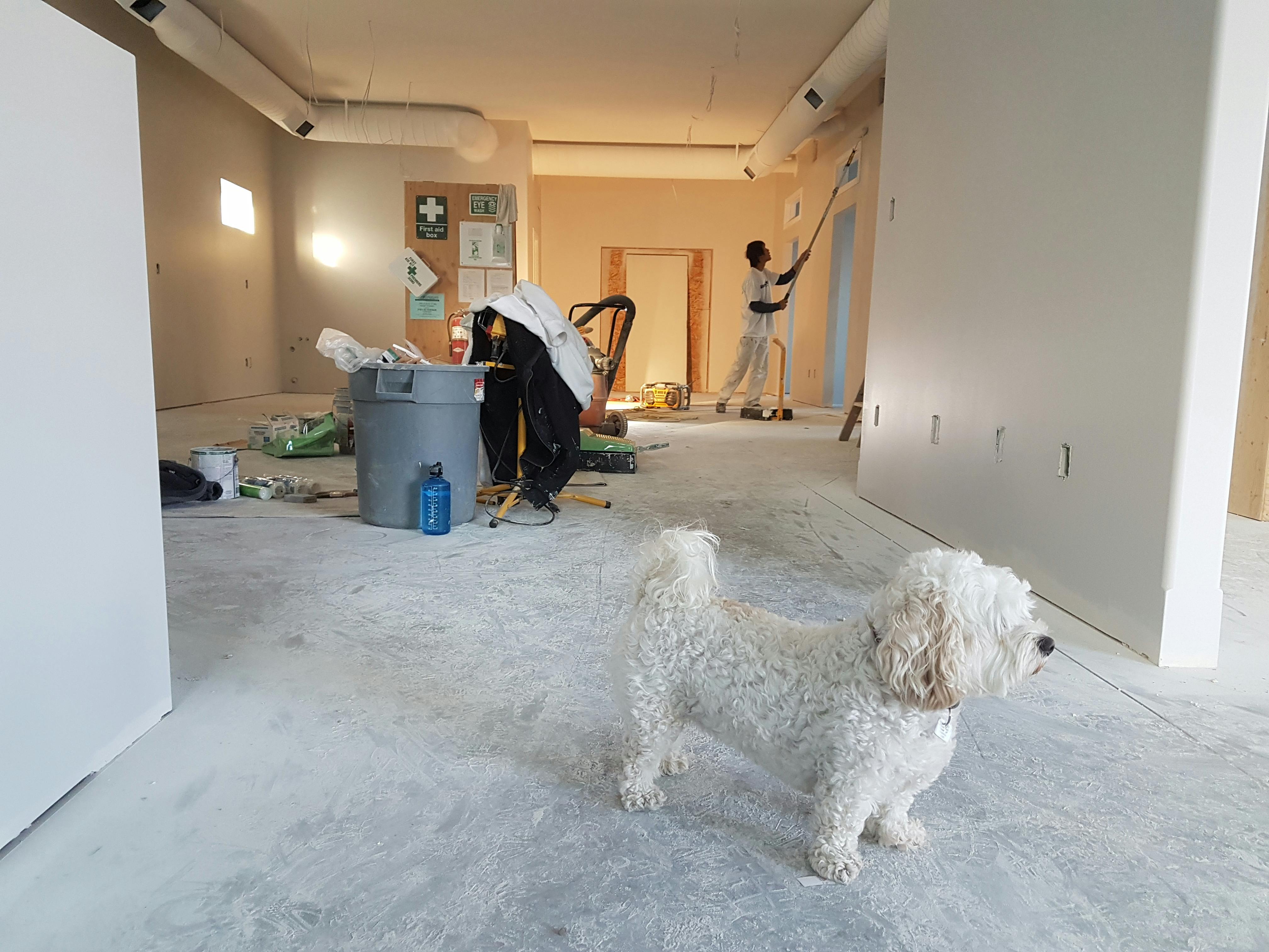 Painting Services