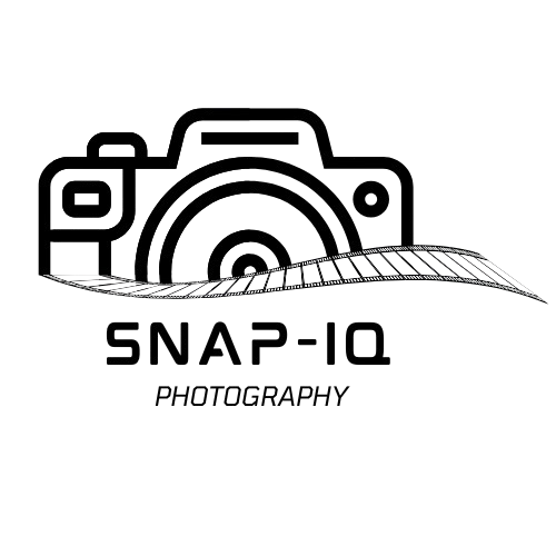 Snap Iq Logo